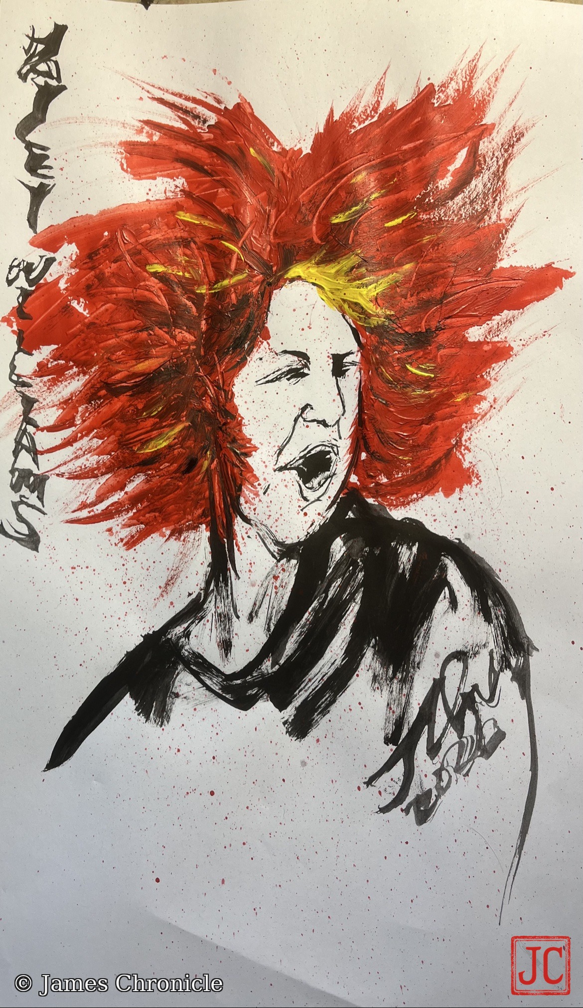 Ink and paint portrait by James of Hayley Williams singing, with vivid red and yellow hair and her name hand-lettered along the left edge